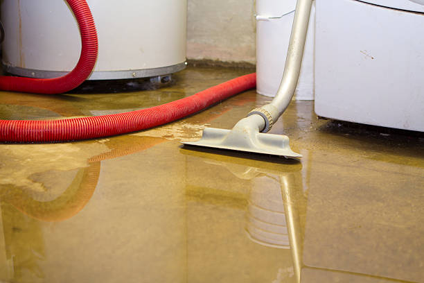 Best Water damage cleanup near me  in Avenel, NJ
